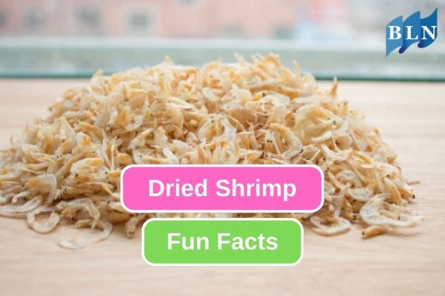 Discovering the Intriguing Facts of Dried Shrimp